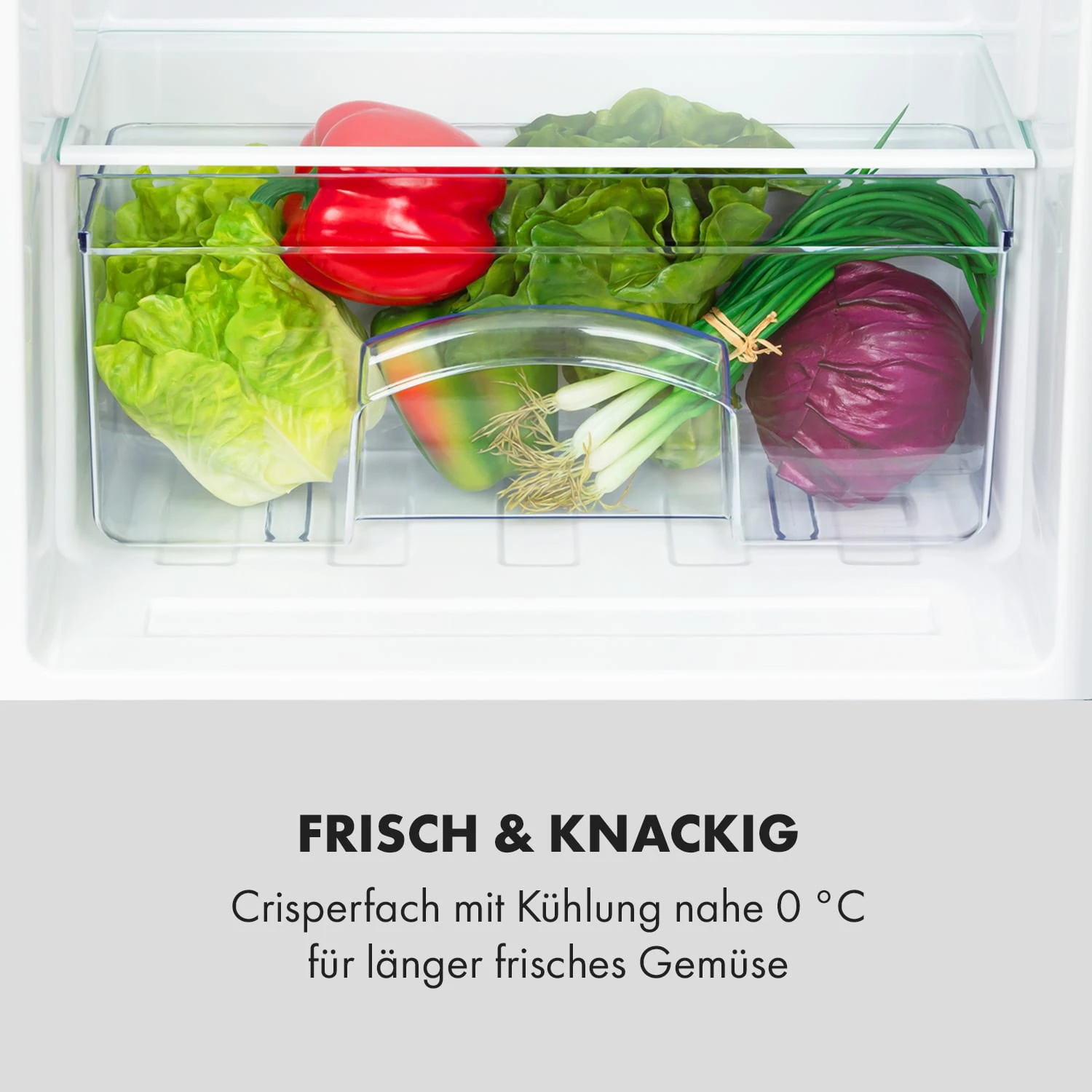 Cool Cousin Kühl-Gefrier-Kombination 70/11 Liter 40 DB – Bild 6