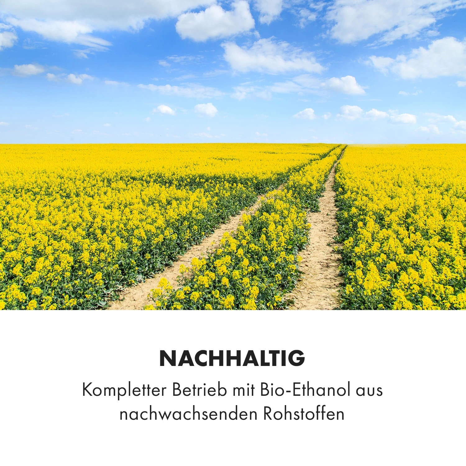 Phantasma Niro Ethanol-Kamin Sicherheitsbrenner Löschhilfe – Bild 7